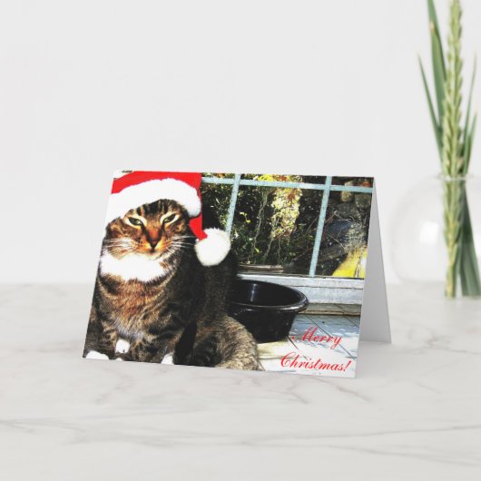 Santa hat cat II Feestdagen Kaart (Voorkant)