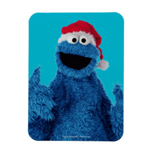 Santa Hat Cookie Magneet