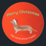 Santa Hat Dog Tan Tachshund Red Merry Christmas Ronde Sticker<br><div class="desc">Een Tan teckel in een Santa hat persoonlijke naam ontwerp op rode achtergrond Geweldig om een extra kerst of vakantie begroeting toe te voegen aan uw seizoensgebonden briefpapier en geschenken Eenvoudig de naam voor uw eigen via het persoonlijke ontwerp.</div>