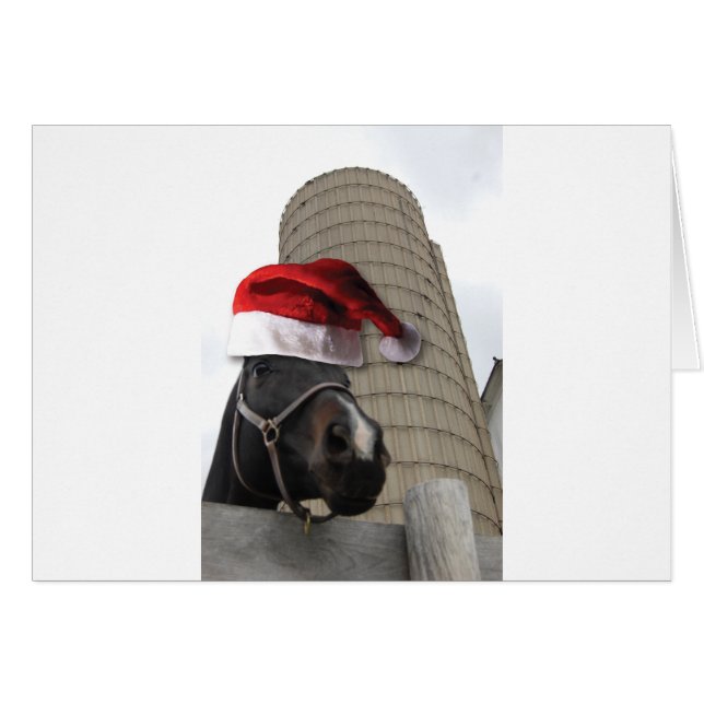Santa Hat Horsey (Voorkant Horizontaal)