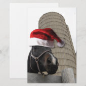 Santa Hat Horsey Briefpapier (Voorkant / Achterkant)