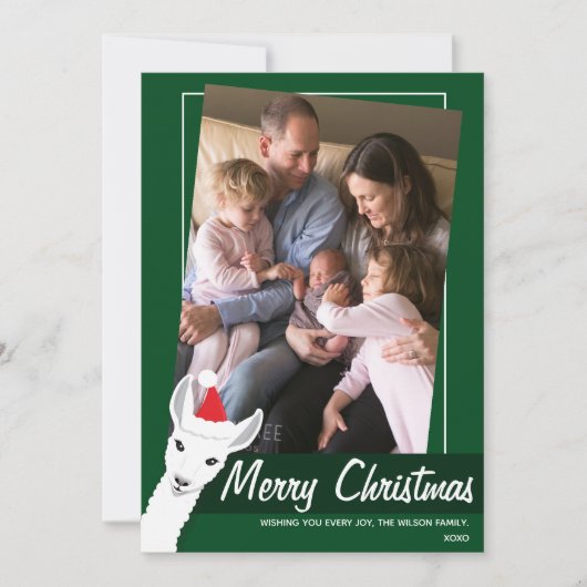 Santa Hat Llama Groen Wit Gekanteld Foto Feestdagenkaart (Voorkant)