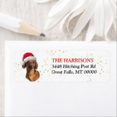 Santa Hat Red Dachshund Return-adres Etiket (Insitu)