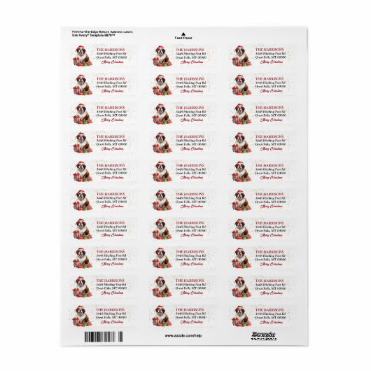 Santa Hat Saint Bernard Kerstmis Etiket (Full Sheet)