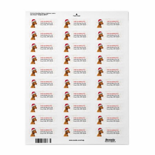 Santa Hat Vizsla Dog Return Address Etiket (Full Sheet)