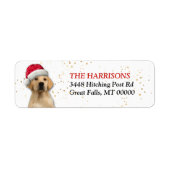 Santa Hat Yellow Labrador Retriever Etiket (Voorkant)