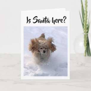 "SANTA HERE YET" KAN NIET WACHTEN OM VROLIJK KERST KAART