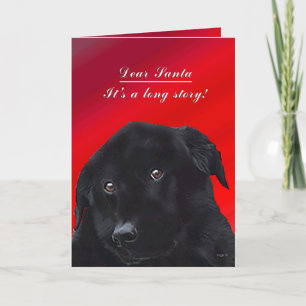 Santa, het is een lang verhaal Labrador Funny Feestdagen Kaart