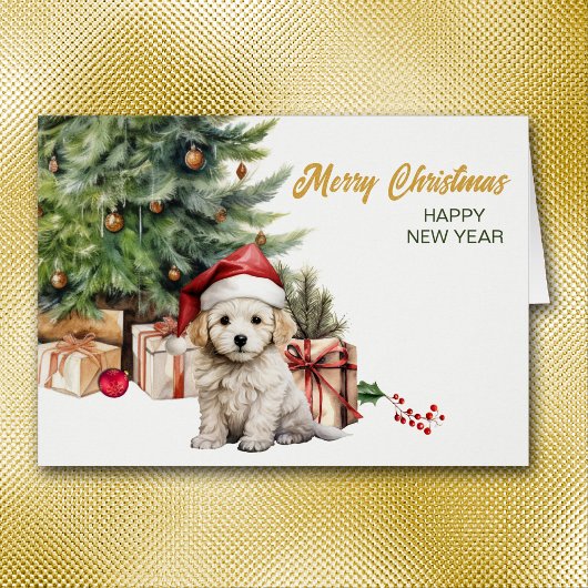 Santa Hoed Bichon Frise Puppy Hondenkerst