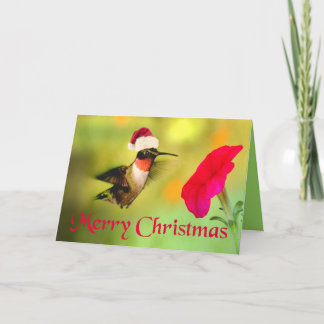 Santa Hoed Hummingbird Kerstmis Feestdagen Kaart