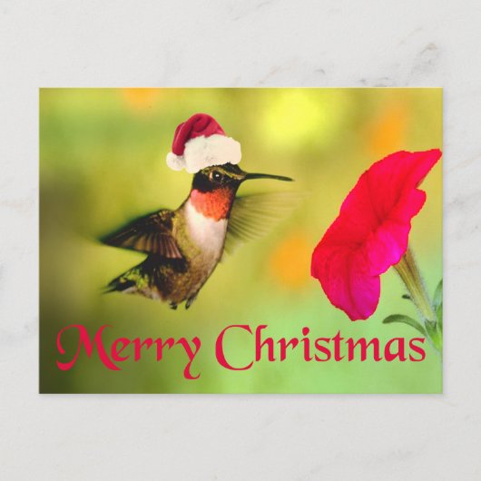 Santa Hoed Hummingbird Kerstmis Feestdagenkaart (Voorkant)
