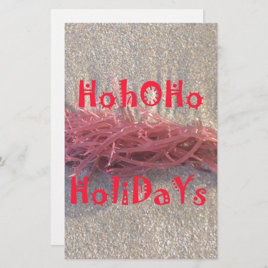 Santa HoHoHo Vrolijk Kerstfeest van doorsnee kleur Briefpapier (Voorkant / Achterkant)