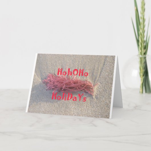 Santa HoHoHo Vrolijk Kerstfeest van doorsnee kleur Feestdagen Kaart (Voorkant)