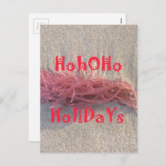 Santa HoHoHo Vrolijk Kerstfeest van doorsnee kleur Feestdagenkaart (Voorkant / Achterkant)