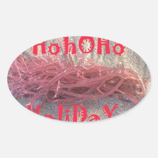 Santa HoHoHo Vrolijk Kerstfeest van doorsnee kleur Ovale Sticker (Voorkant)