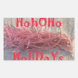 Santa HoHoHo Vrolijk Kerstfeest van doorsnee kleur Rechthoekige Sticker