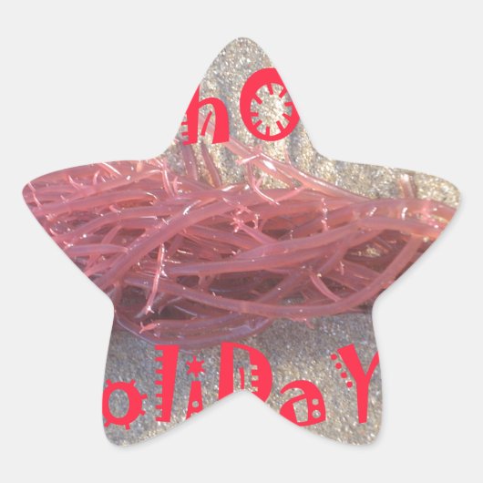 Santa HoHoHo Vrolijk Kerstfeest van doorsnee kleur Ster Sticker (Voorkant)