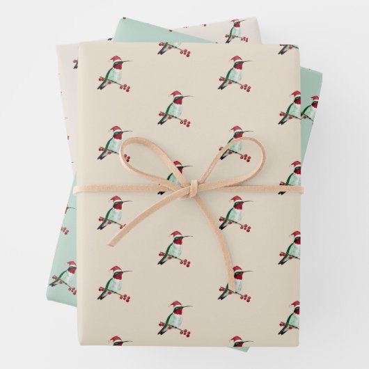 Santa Hummingbird Inpakpapier Vel (In situ)