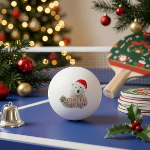 Santa IJsbeer   Beary Kerst Ping Pong Bal Pingpongbal