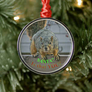"SANTA, IS DAT JIJ?" WIDE-EYED SQUIRREL ORNAMEN METALEN ORNAMENT
