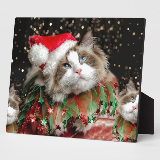Santa Kat Fotoplaat (Zijkant)