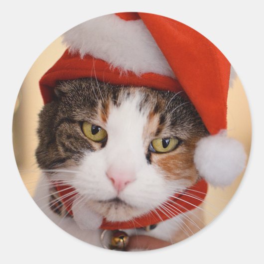 Santa Kat | Kerst Pookie de Kat Ronde Sticker (Voorkant)