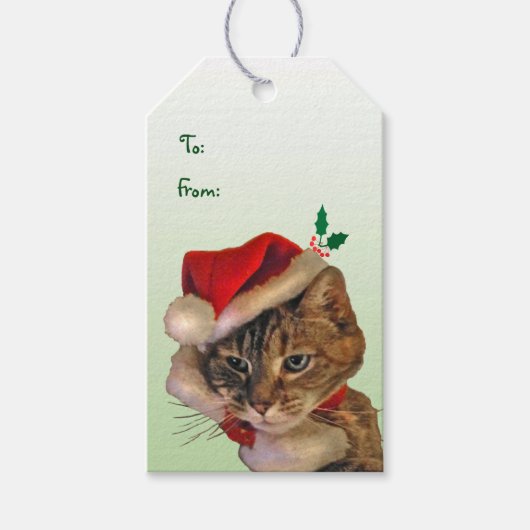 Santa Kat Pack van Gift Labels Cadeaulabel (Voorkant)