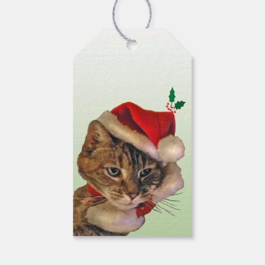 Santa Kat Pack van Gift Labels Cadeaulabel (Achterkant)