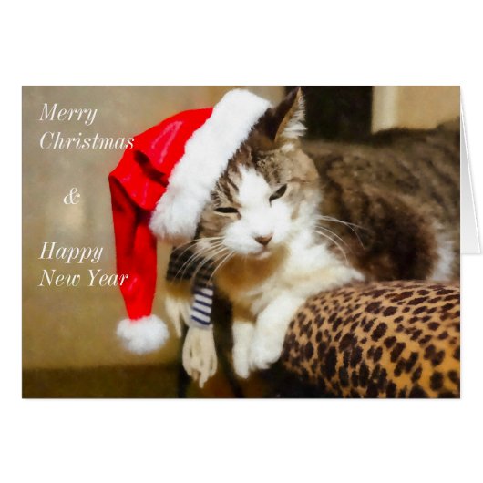 Santa Kat Painterly (Voorkant Horizontaal)