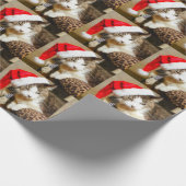 Santa Kat Painterly Cadeaupapier (Hoek)