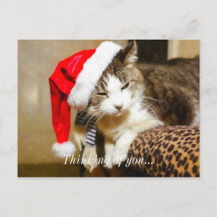 Santa Kat Painterly Feestdagenkaart