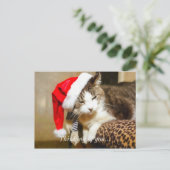 Santa Kat Painterly Feestdagenkaart (Staand voorkant)