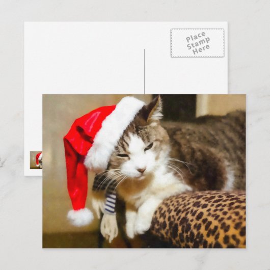 Santa Kat Painterly Feestdagenkaart (Voorkant / Achterkant)