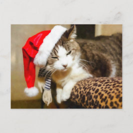 Santa Kat Painterly Feestdagenkaart