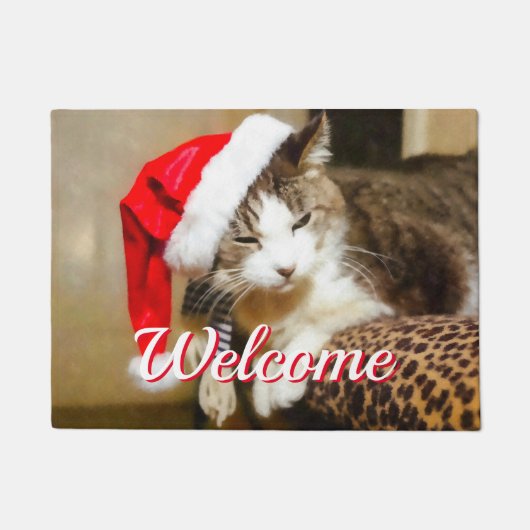 Santa Kat Painterly Welkom Doormat Deurmat (Voorkant)