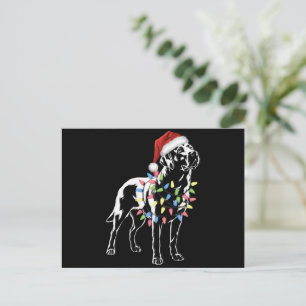 Santa Labrador Retriever Christmas Light Hondenlie Feestdagenkaart