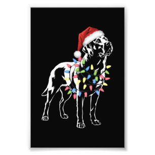 Santa Labrador Retriever Christmas Light Hondenlie Foto Afdruk