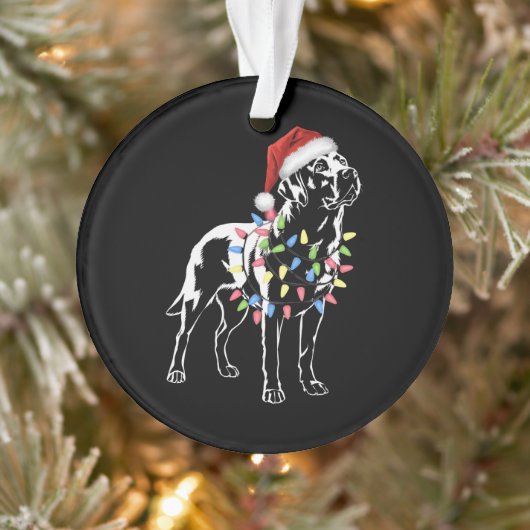 Santa Labrador Retriever Christmas Light Hondenlie Ornament (Boom)