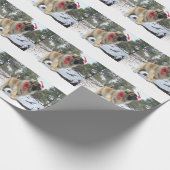 Santa leonberger cadeaupapier (Hoek)