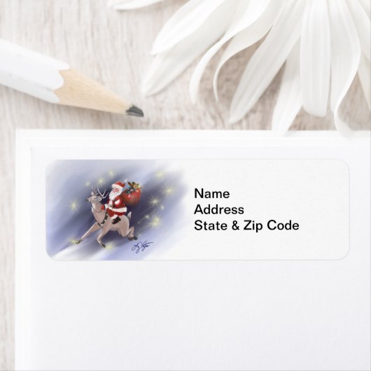 Santa Levert het Etiket van het Adres van de Terug (Insitu)