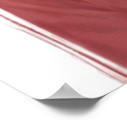 Santa lion poster (Hoek)