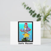 Santa Macaws Funny kerstcadeautjes en T - shirts Feestdagenkaart (Staand voorkant)