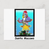 Santa Macaws Funny kerstcadeautjes en T - shirts Feestdagenkaart (Voorkant)