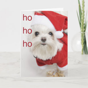 Santa-Maltese Kaart voor kerstmis
