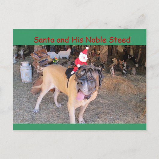 Santa mastiff dog Christmas Briefkaart Postcrossin (Voorkant)
