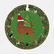 Santa Miniatuur Pinscher