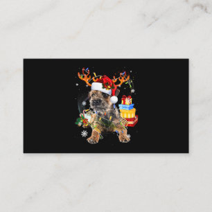 Santa Miniatuur Schnauzer met kerstverlichting Xm Visitekaartje