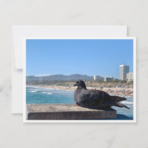 Santa Monica, CA Briefkaart