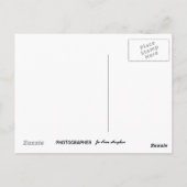 SANTA MONICA PIER, briefkaart VAN CALIFORNIA (Achterkant)