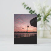 Santa Monica Pink Briefkaart (Staand voorkant)